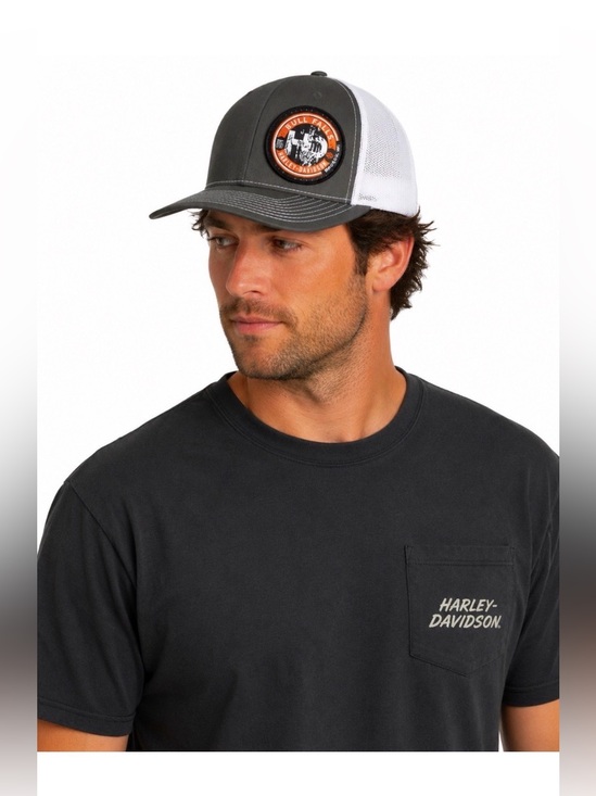 Harley-Davidson Other - HARLEY DAVIDSON Men’s Grey HD Logo Hat